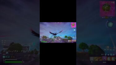まじで消してくれ #フォートナイト #fortnite #フォトナオワコン#ゲーム実況 #チートすぎる#ストームビーストのポンポン