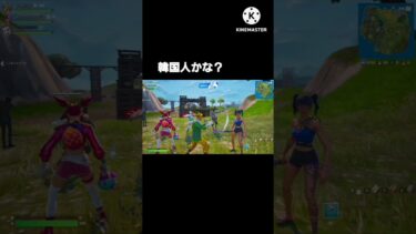 韓国の野良さんにチャットしたらヤバすぎた#フォートナイト#shorts#ショート
