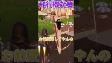 これが飛行機対策です#フォートナイト #フォトナ #fortnite #shorts