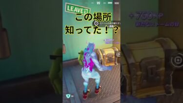 新しい場所を発見しました。#Fortnite #フォートナイト #ゲーム実況 #ゲーム配信 #チャンネル登録🙇‍♂️します