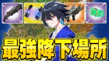 初動で必須アイテムが手に入る”最強降下場所”を紹介！【フォートナイト/Fortnite】