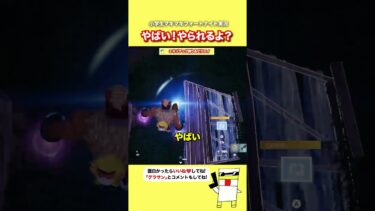 やばい！やられるよ？【フォートナイト】