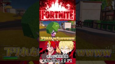 深夜の男のテンションはやばいｗ#fortnite #フォートナイト #fortnitemontage #フォートナイト参加型 #フォートナイト配信 #shrots