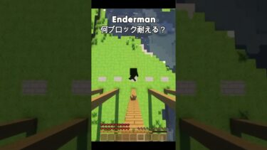 最後ヤバすぎて草 #shorts #minecraft #マイクラ #中学生