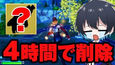 4時間で削除されたフォトナ史上最大の壊れ武器【フォートナイト/Fortnite】
