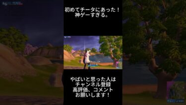 チーターやばすぎ、、、
