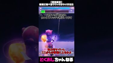 【悪用厳禁】無限に飛べるグリッチがヤバすぎた #フォートナイト #FORTNITE  #天空城 #ゆっくり実況