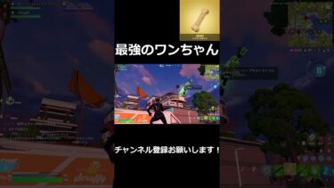 【フォートナイト】ランクで戦闘になるとほぼ全部に規制音が入ってしまうデュオがやばいいw　#フォートナイト #犬 #キル集 #フォトナ #gaming #shorts #fortnite