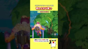君の上から撃つ【フォートナイト】