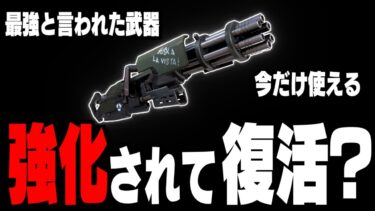 【24時間限定】まさかの強化!?復活したミニガンがあまりに強すぎてヤバい件w【フォートナイト/Fortnite】