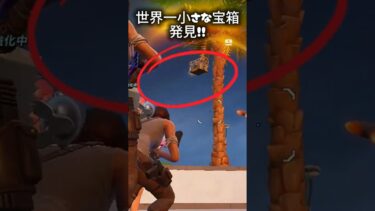 世界一小さな宝箱#フォートナイト #fortnite #ゲーム実況 #shorts