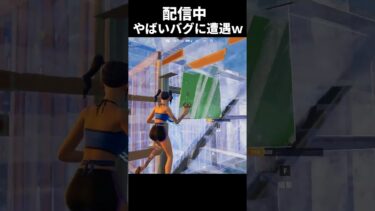 やばいバグに遭遇w#fortnite #fortniteclips #fortnitememes #フォートナイト #あーさー #バグ