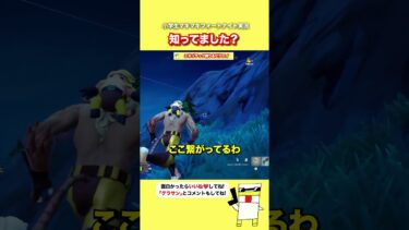 知ってました？【フォートナイト】