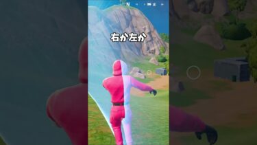 みんなはどっち？ #フォートナイト #fortnite #フォトナ  #ゲーム実況