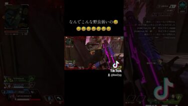 最近の野良やばいwwwww #フォートナイト #apex #クリップ集 #fortnite #apexlegends #かっこいいキル集 #fortniteclips #エーペックス #上手いと思った