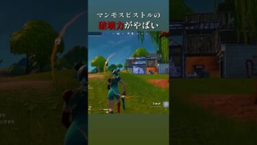 敵への破壊力がやばすぎたｗ#fortnite #neckose #フォートナイト#shorts #fortniteclips #fortnitememes