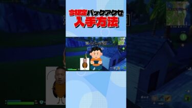 超かっこいいバックアクセが来た！！！ #フォートナイト #fortnite #ゲーム実況 #ゲーム