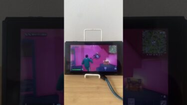 謎の動画#ふぉーとないと #フォートナイト実況