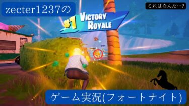 zecter1237のフォートナイト実況4!