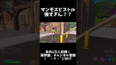 遠距離ショットガン！　【すぷねこオリジナル】