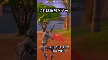 これは双子ww#フォートナイト #フォトナ #zero #shortvideo #ショート #奇跡 #ばずれ #fortnite #やばい