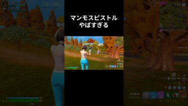 マンモスピストルのエイムがやばすぎた #fortnite #フォートナイト #最高のシーン#aim #マンモス