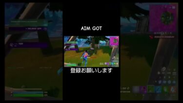アサルトエイムやばい #fortnite #shorts #フォートナイト #かっぴー