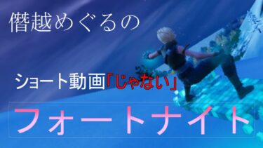 フォートナイト実況　-僭越めぐるはフルの試合だとどう見える？-