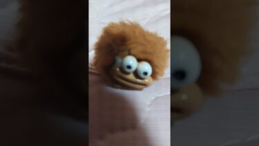 怖すぎてやばい🤣👻